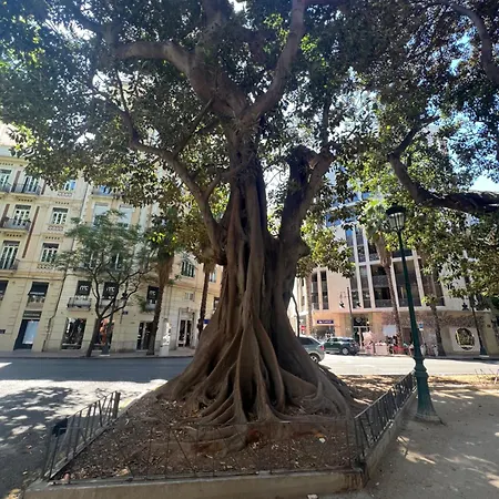 Hbb * Valencia